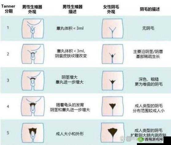 女性私密部位毛发茂盛是否正常？