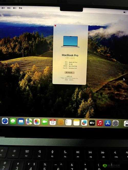MacBook Pro高清播放流畅不卡顿，性能卓越满足你的高清需求体验