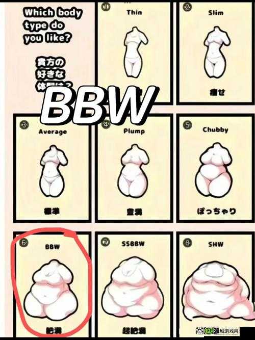 缅甸丰满BBwBBwBBw是什么意思？为何备受关注？探秘背后的神秘魅力